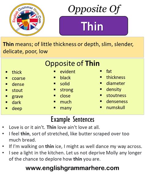 thin antonym